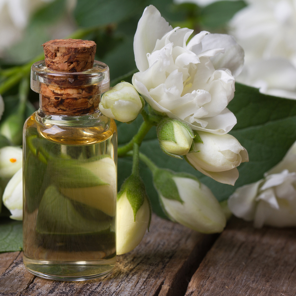 Jasmine (Essential Oil) 3% Dilution – The Common Scents