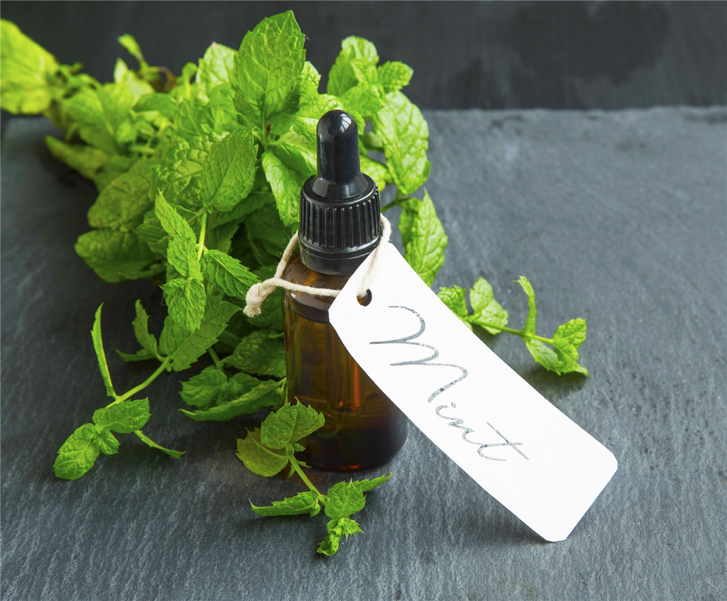 PEPPERMINT FRAGRANCE OIL SCENTEL For Body Butter, Candle Making, Soap Making,  Perfume