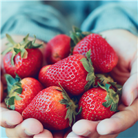 Strawberry Oil — Wholesale Botanics
