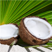 Exotic Coconut* Fragrance Oil 112