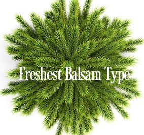 Balsam & Snow Wax Melts  Balsam, Fresh Air, Snow, Precious Woods