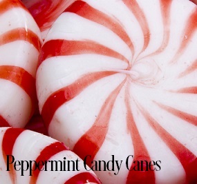 Candy Cane Fragrance Oil for Soap Candle Making Body Butter Lotion