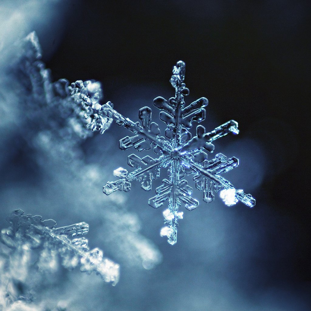 Snowflake Freshie Silicone Mold – Aroma Bead Depot