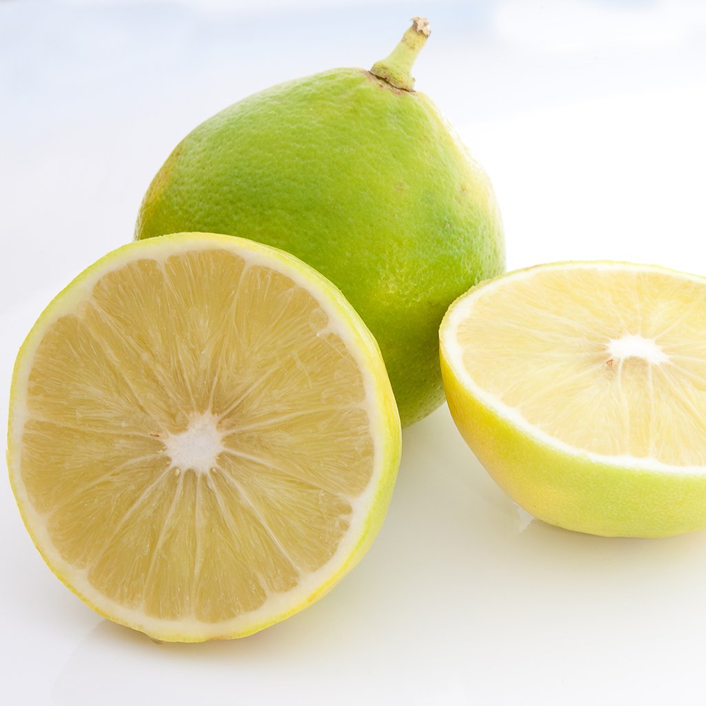 7 skin-loving benefits of pink grapefruit peel oil – Pure Haven