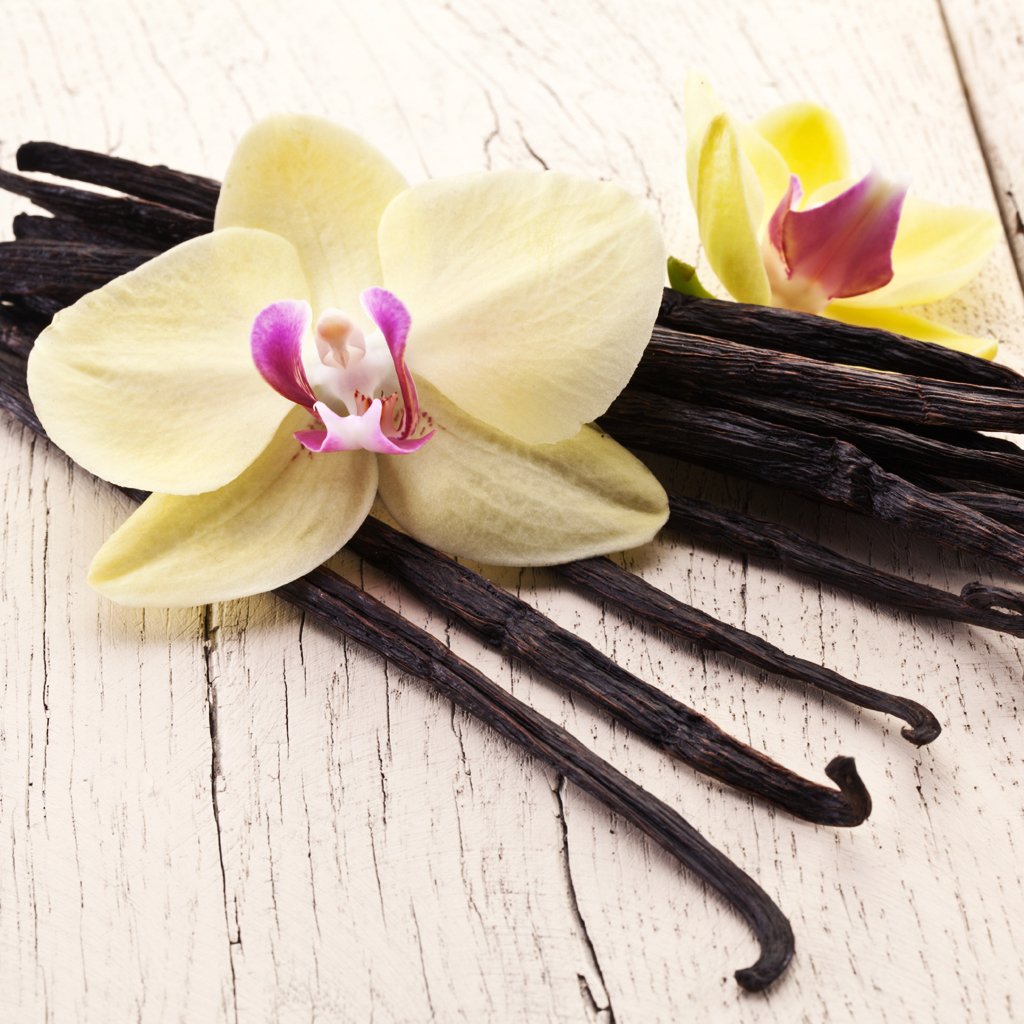 Fresh Vanilla* Fragrance Oil 263 - Wholesale Supplies Plus