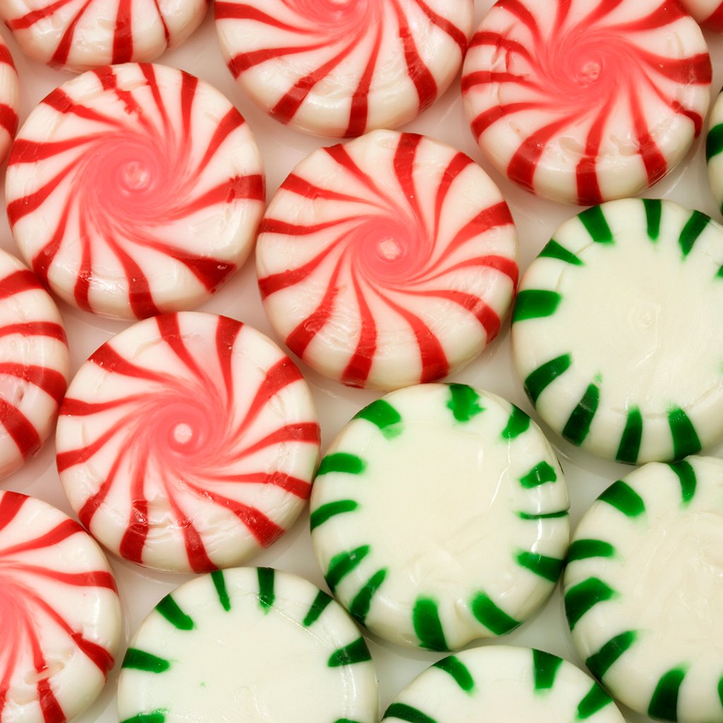 FREE SHIP Christmas Holly Candy Cups Candy Making Supplies Size 5