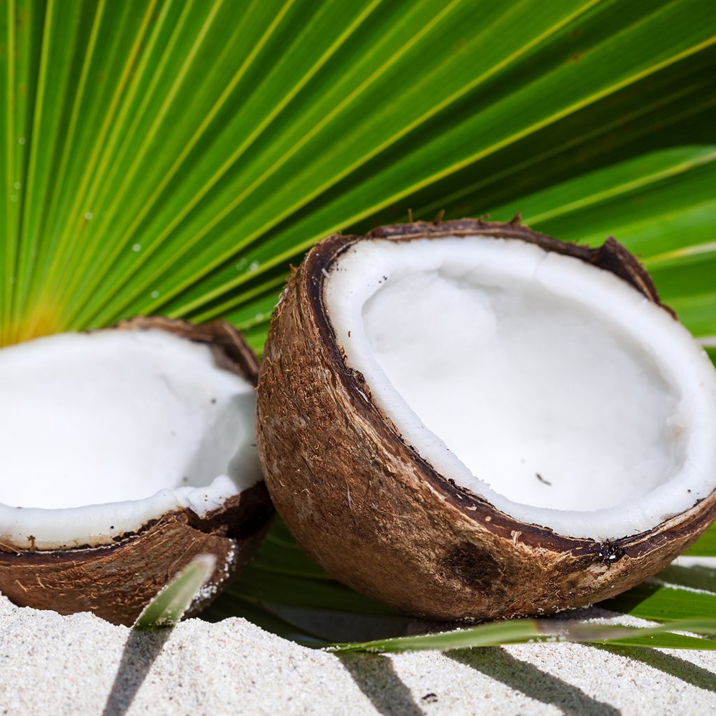 Coconut - The Library of Fragrance