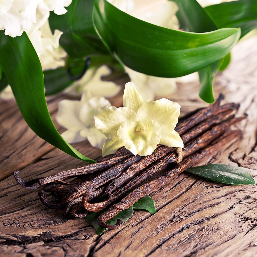 Sandalwood Vanilla Fragrance Oil for Soap and Candle Making - New York Scent
