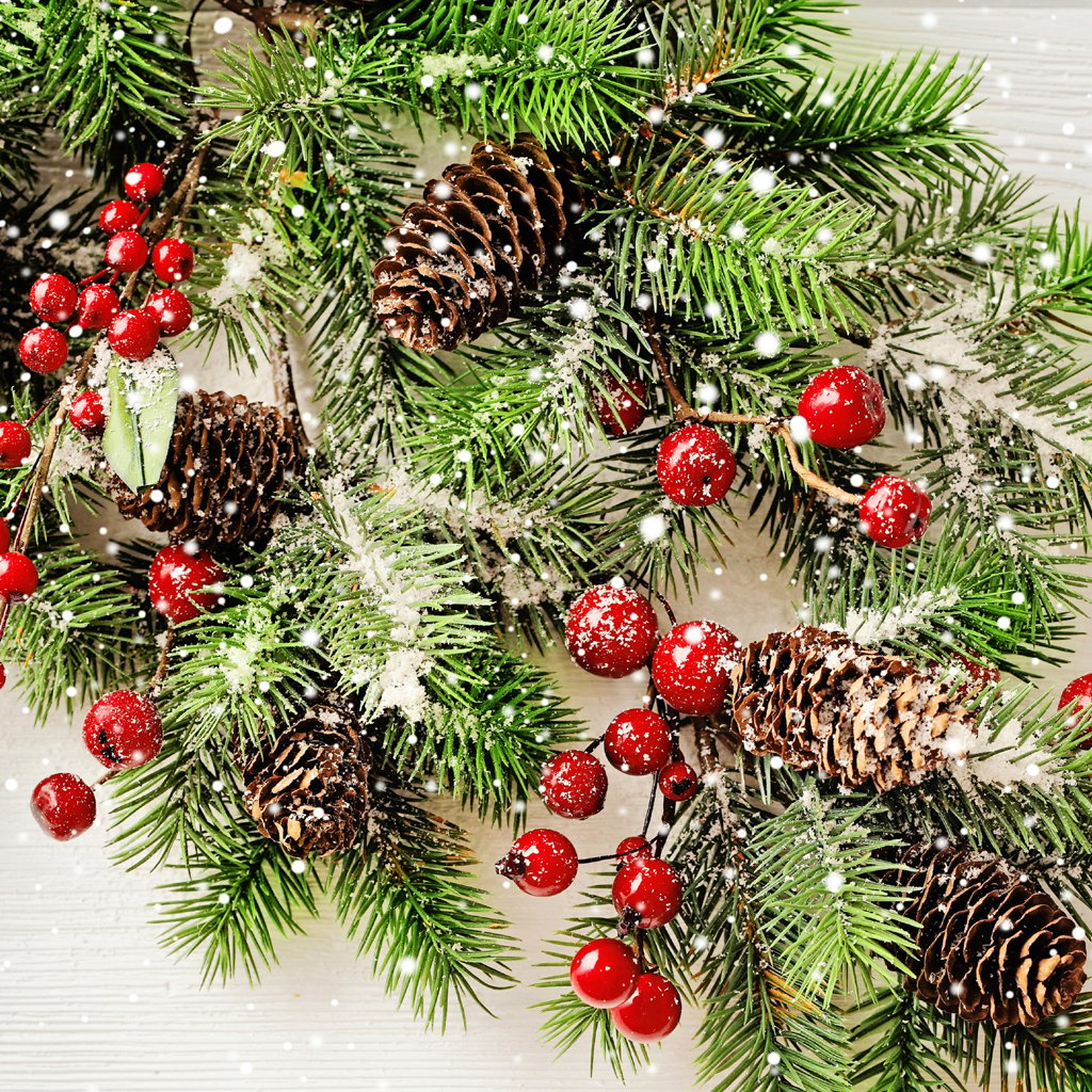 Wholesale Supplies Plus Sells Holiday Wax Melt Kits