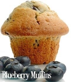 Blueberry Muffin Large 2-wick