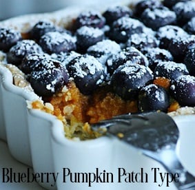 Blueberry Pumpkin Patch – Tennessee Candle Company