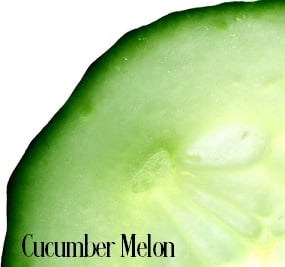Cucumber Melon Fragrance Oil Blend
