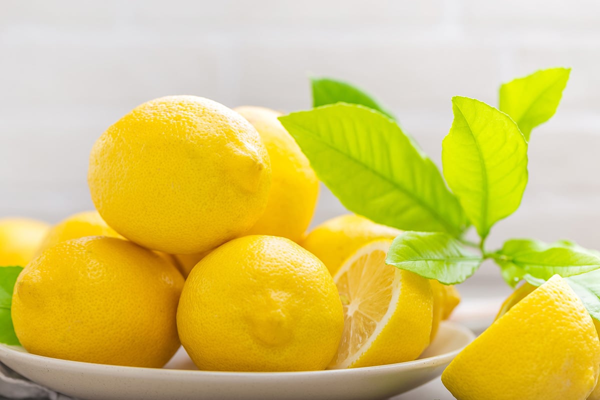 Oil Of The Week: Lemon Verbena – Essentially Natural